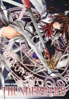 Mahou Shoujo Lyrical Nanoha dj : Thunder Bird - Action, Doujinshi, Drama, Fantasy, Manga, Psychological, Tragedy, Yuri, One Shot